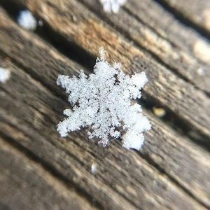 Meet your Posher, Kristy